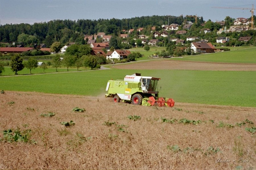 Claas Drescher 24